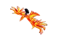 Phoenix of Darkness