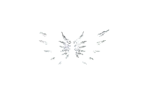 Wings of Darkness Mu Online